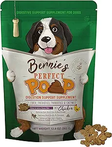 Bernie’s Perfect Poop Natural Digestion Support Supplement