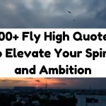 200+ Fly High Quotes to Elevate Your Spirit and Ambition