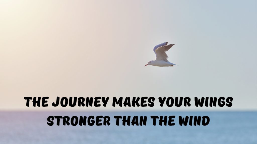 The journey makes your wings stronger than the wind