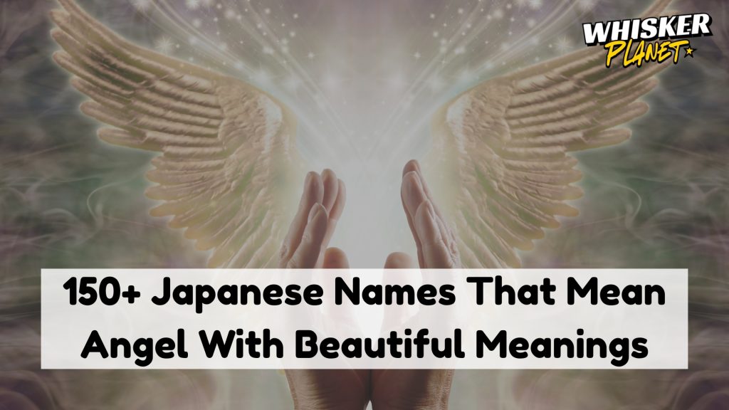 150+ Japanese Names That Mean Angel With Beautiful Meanings