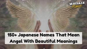 150+ Japanese Names That Mean Angel With Beautiful Meanings