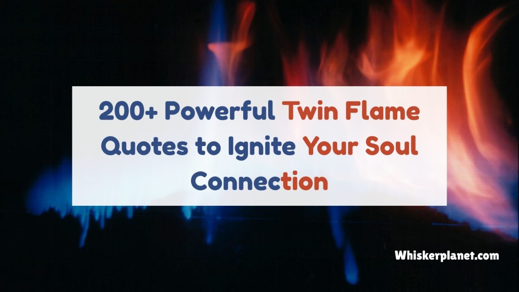 Twin Flame Quotes That Ignite Your Soul | Inspiring Love & Connection