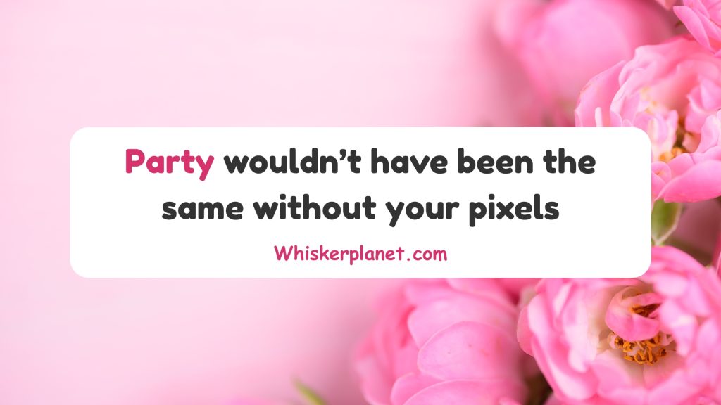 Party wouldn’t have been the same without your pixels