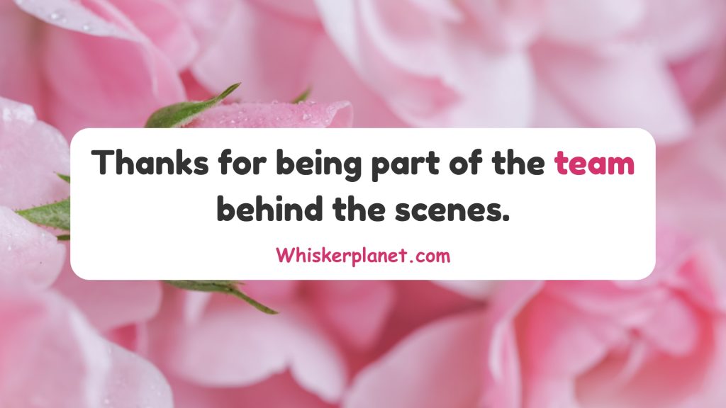 Thanks for being part of the team behind the scenes.
