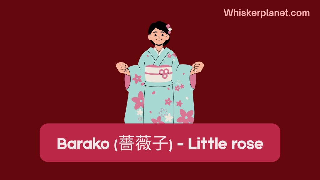 Barako (薔薇子) - Little rose