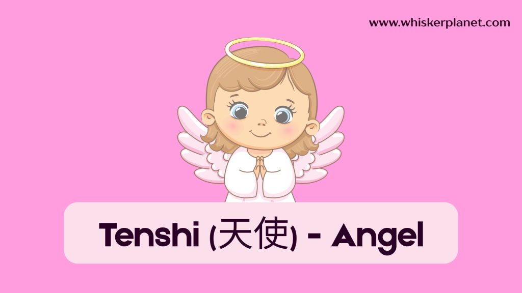 Tenshi (天使) - Angel