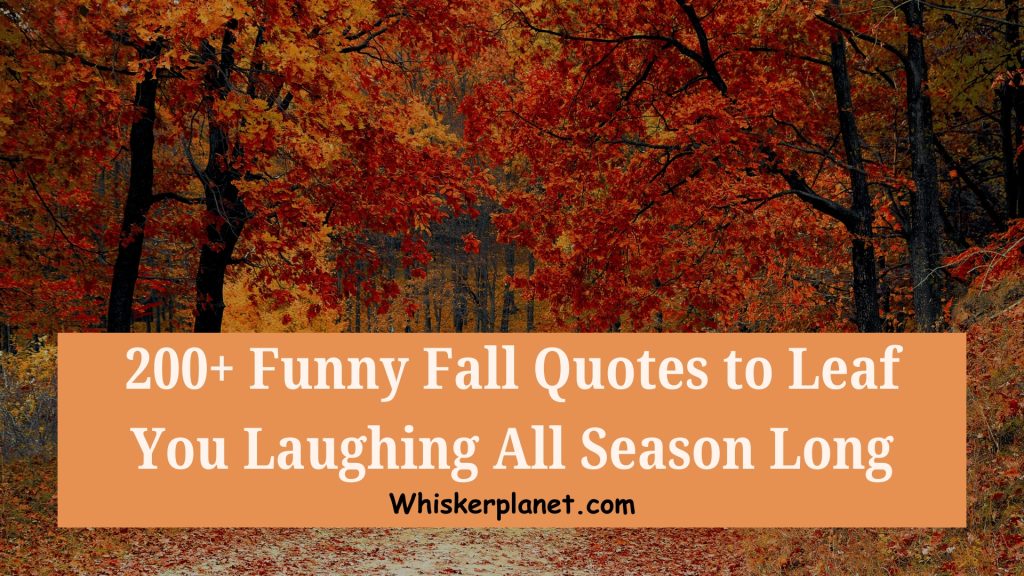 200+ Funny Fall Quotes to Leaf You Laughing All Season Long