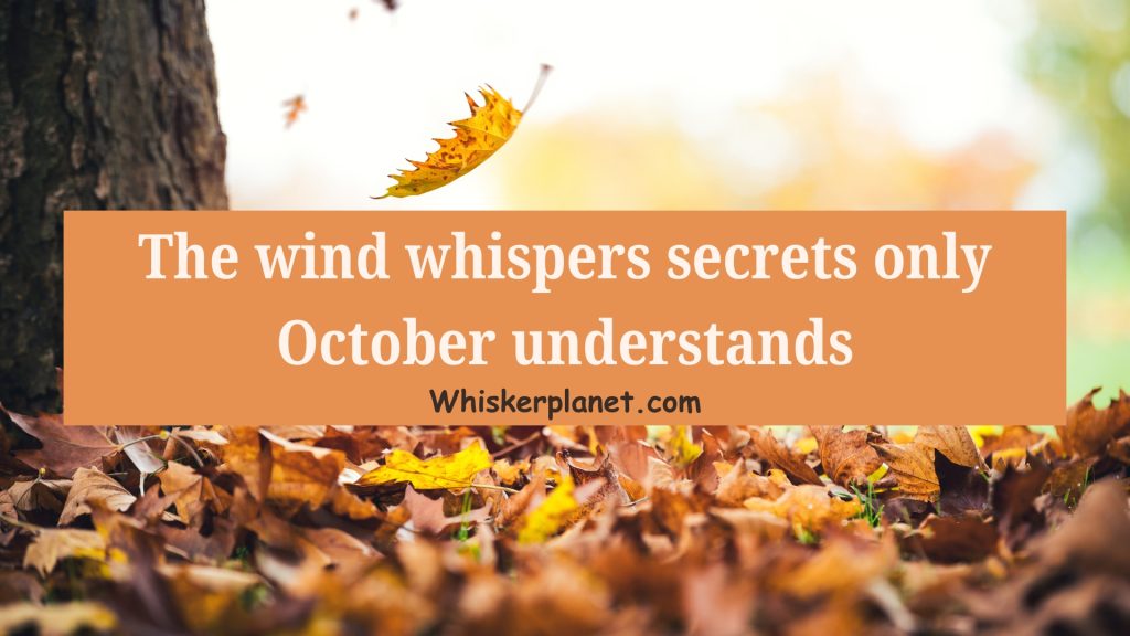 The wind whispers secrets only October understands