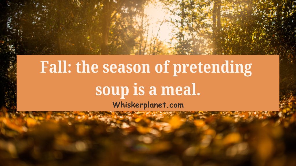 Fall: the season of pretending soup is a meal.
