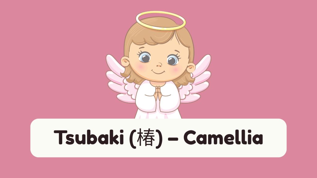 Tsubaki (椿) – Camellia