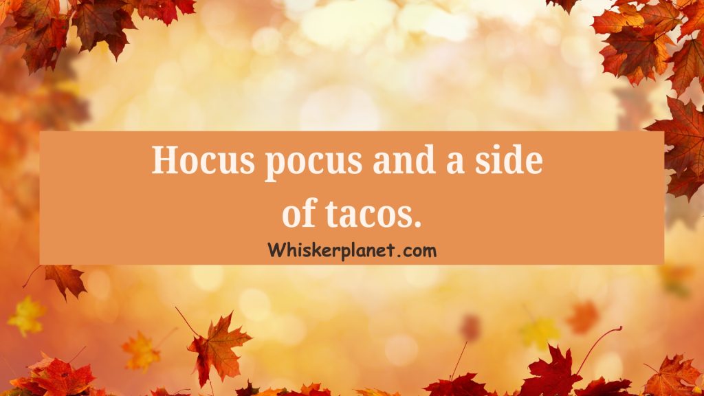 Hocus pocus and a side of tacos.