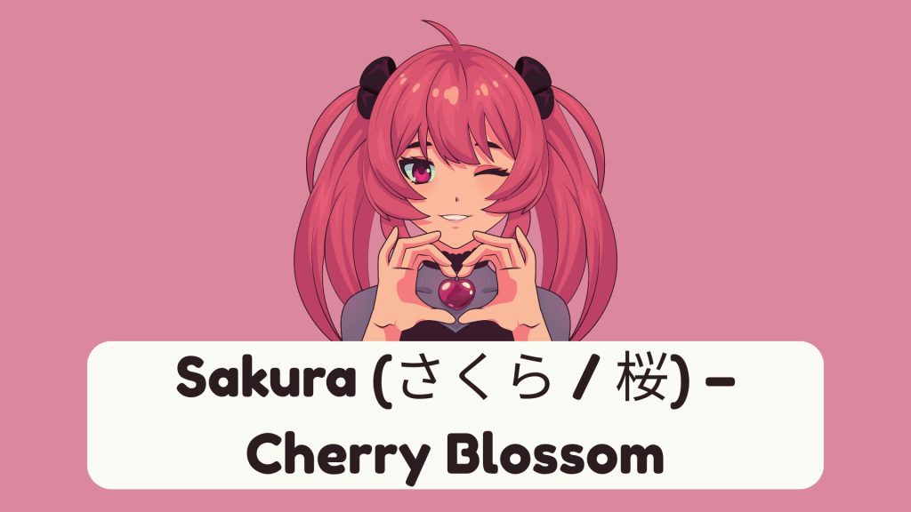 Sakura (さくら / 桜) – Cherry Blossom