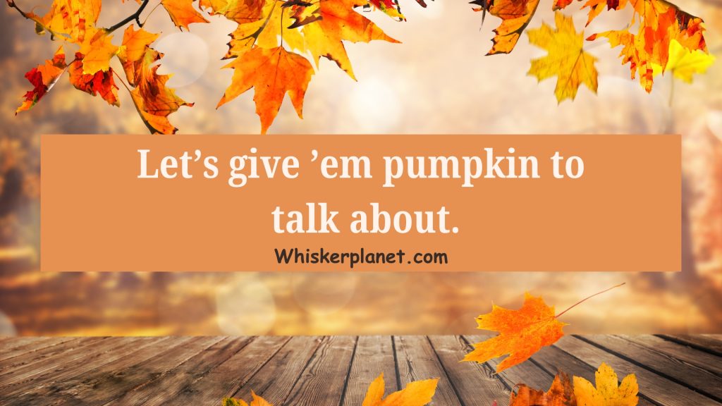 Let’s give ’em pumpkin to talk about.