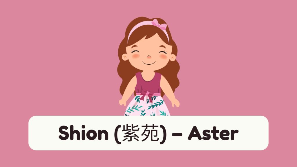 Shion (紫苑) – Aster