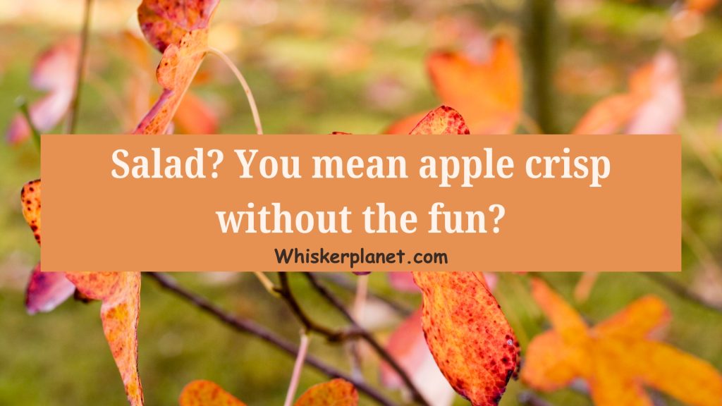 Salad? You mean apple crisp without the fun?