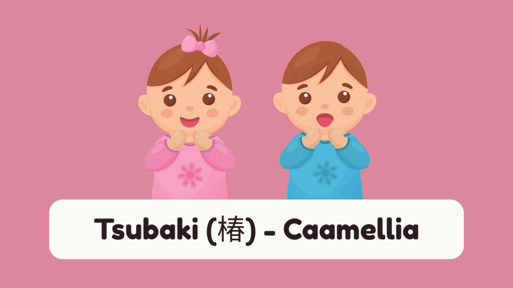 Tsubaki (椿) - Caamellia