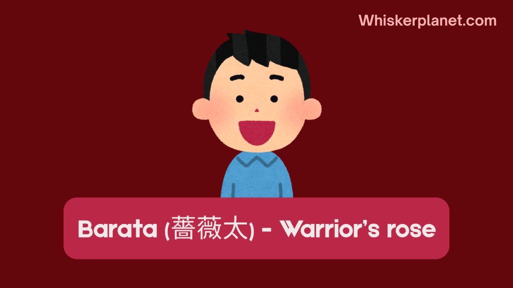 Barata (薔薇太) - Warrior’s rose