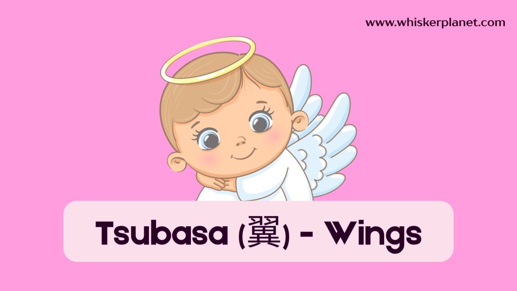 Tsubasa (翼) - Wings