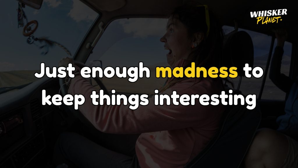 Just enough madness to keep things interesting.