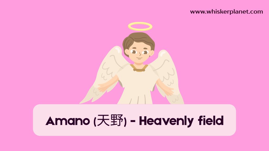 Amano (天野) - Heavenly field