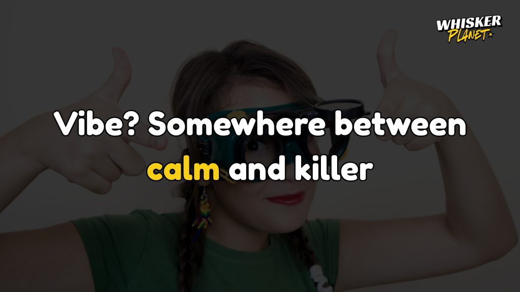 Vibe? Somewhere between calm and killer.