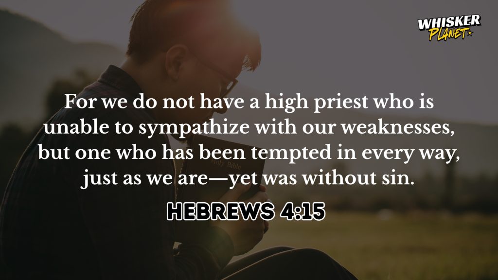 Hebrews 4:15