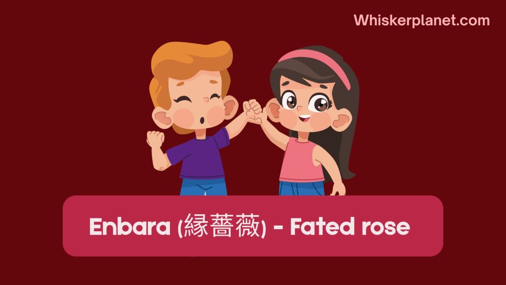 Enbara (縁薔薇) - Fated rose