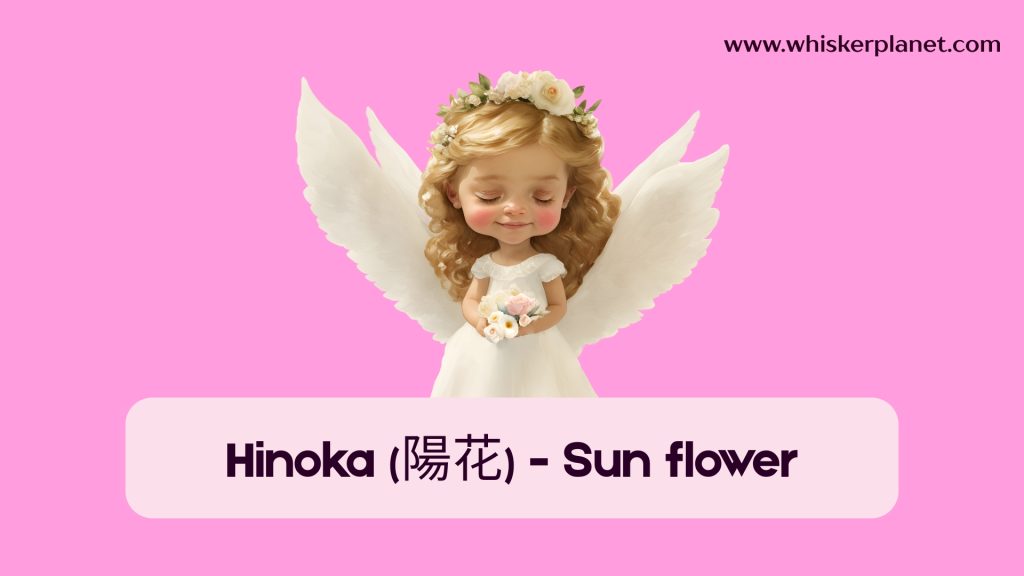 Hinoka (陽花) - Sun flower