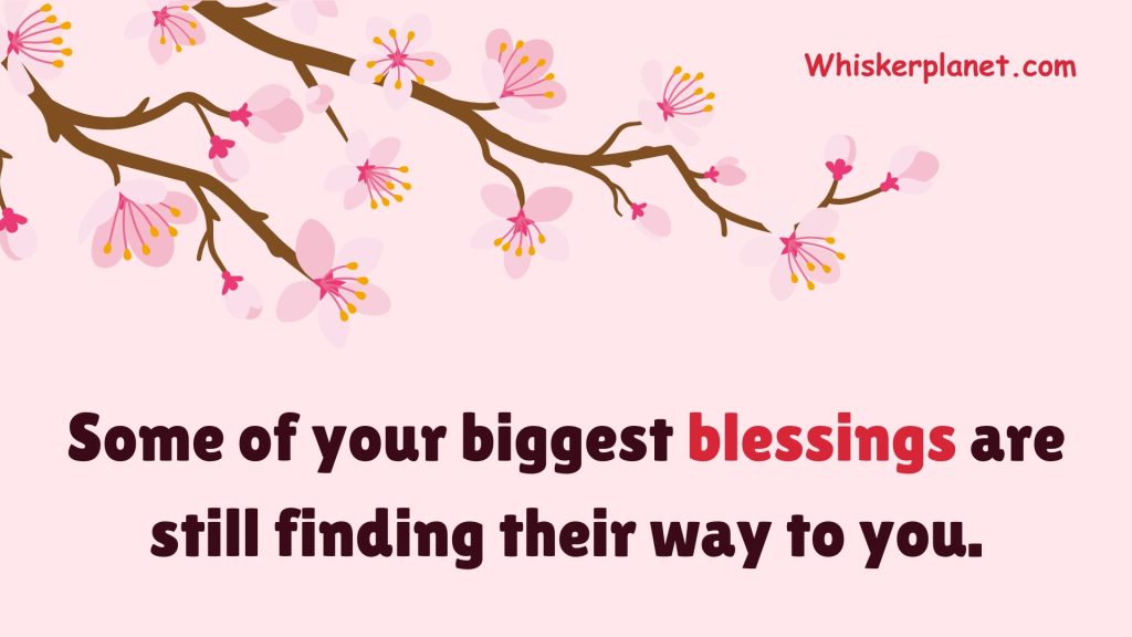 Some of your biggest blessings are still finding their way to you.