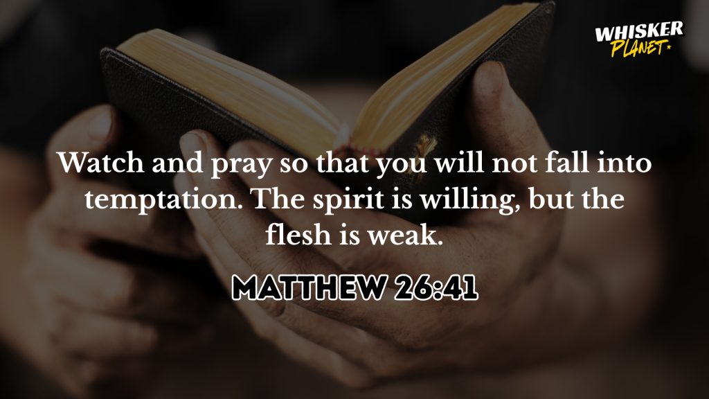 Matthew 26:41
