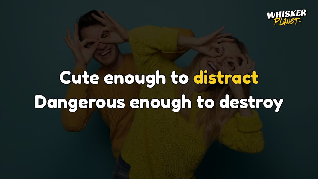 Cute enough to distract. Dangerous enough to destroy.