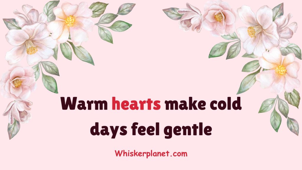 Warm hearts make cold days feel gentle