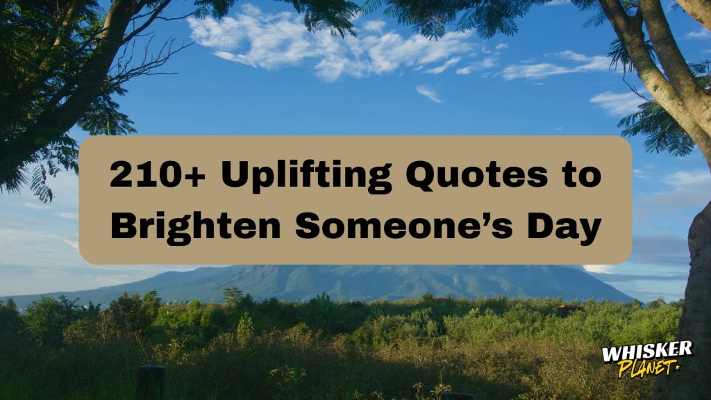 210+ Uplifting Quotes to Brighten Someone’s Day