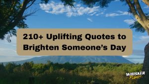 210+ Uplifting Quotes to Brighten Someone’s Day