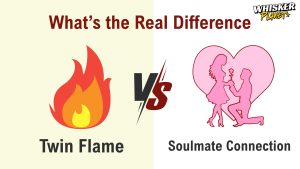 Soulmate vs Twin Flame: What’s the Real Difference & Why It Matters