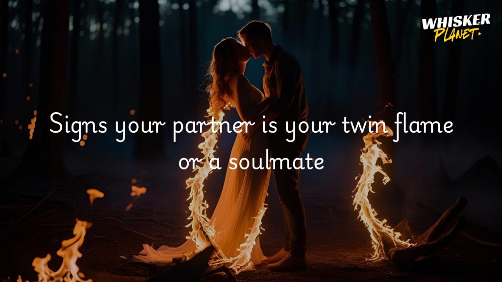 Signs your partner is your twin flame or a soulmate