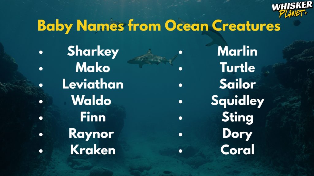 Baby Names from Ocean Creatures