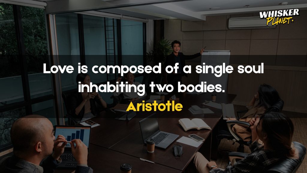 Love is composed of a single soul inhabiting two bodies.